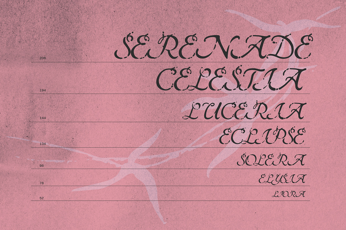 Kleiro - Chamber Calligraphy Script, a Script Font by riff.type (Photo 5 of 10)