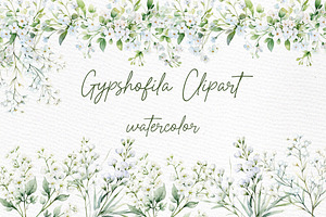 Gypsophilia Flowers Clipart