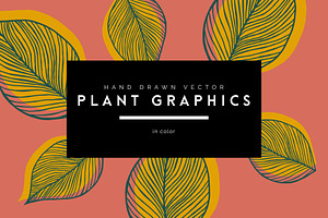 Vector Plant & Leaf Graphics