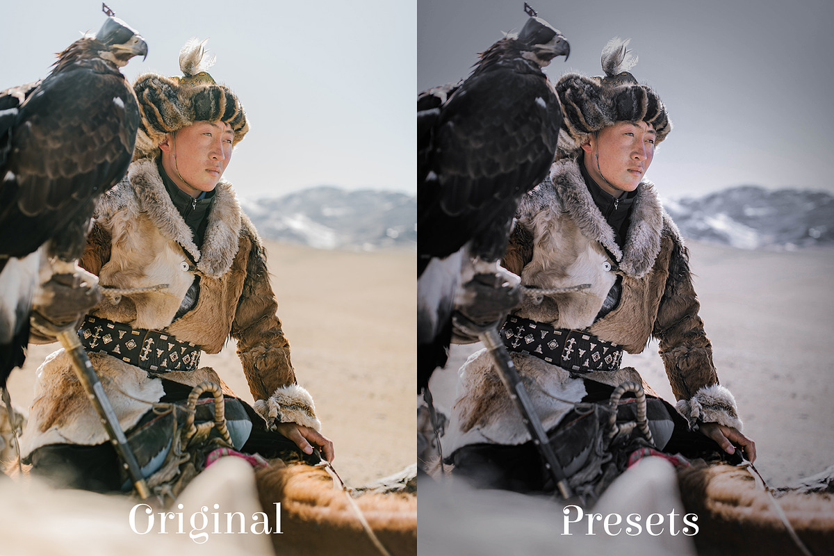 Instashades Lightrooom Presets, a Preset Add-On by Voleshads (Photo 2 of 10)