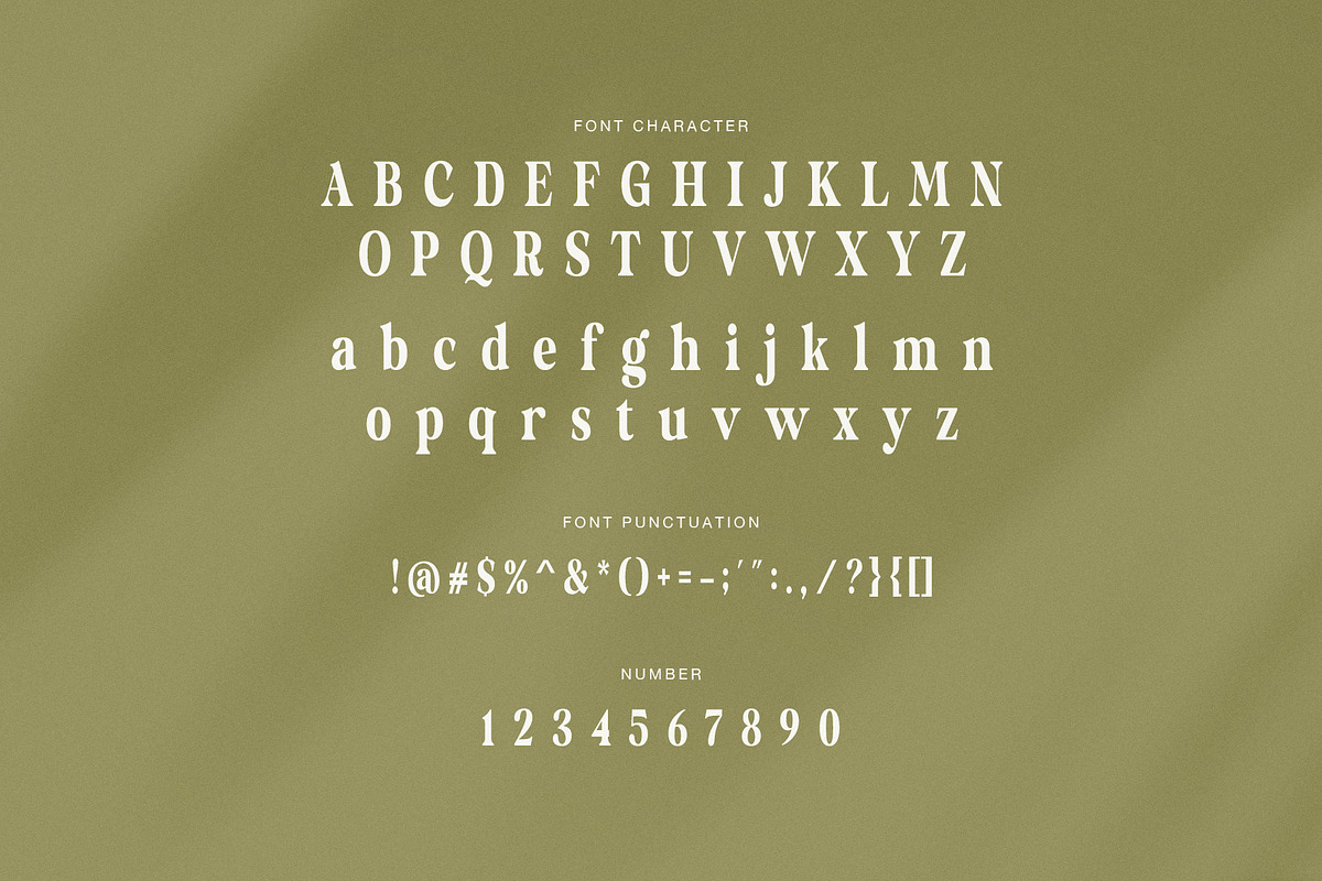 Hibrida Bold Serif Font, a Serif Font by Perfectype (Photo 7 of 8)