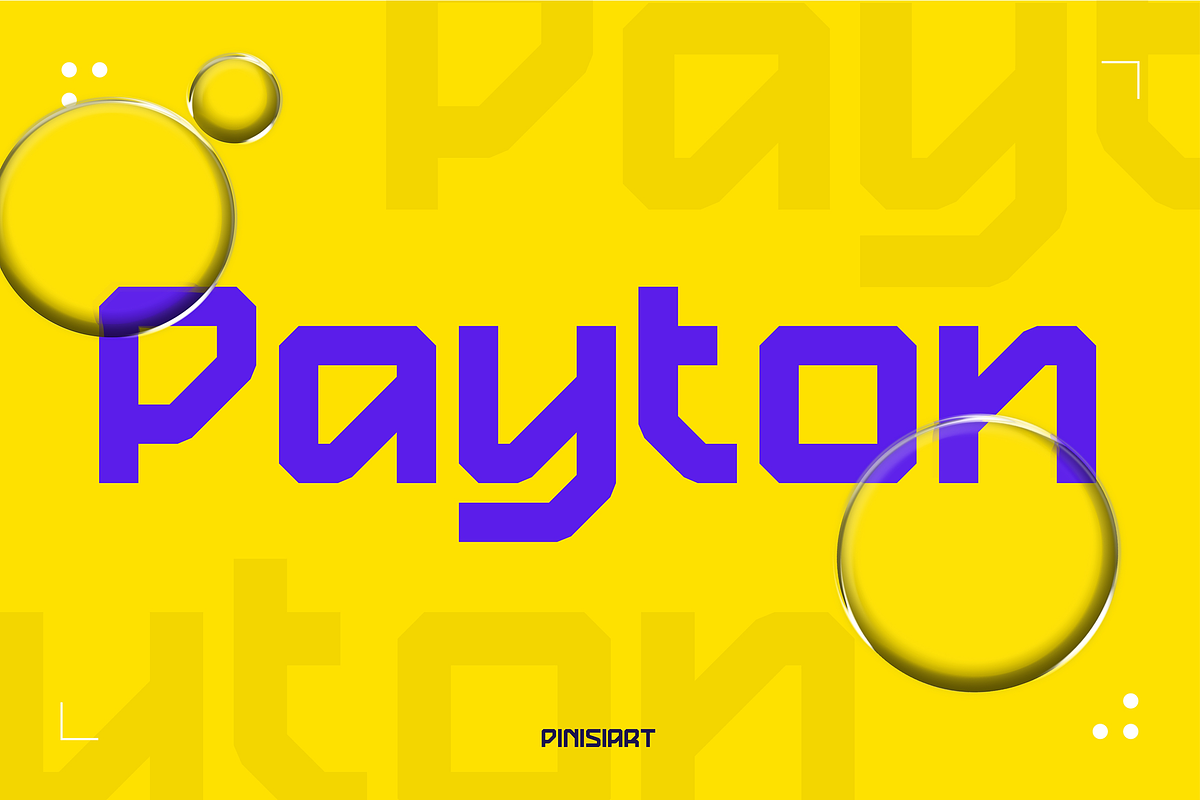 Payton, a Sans Serif Font by Pinisi ART (Photo 1 of 10)