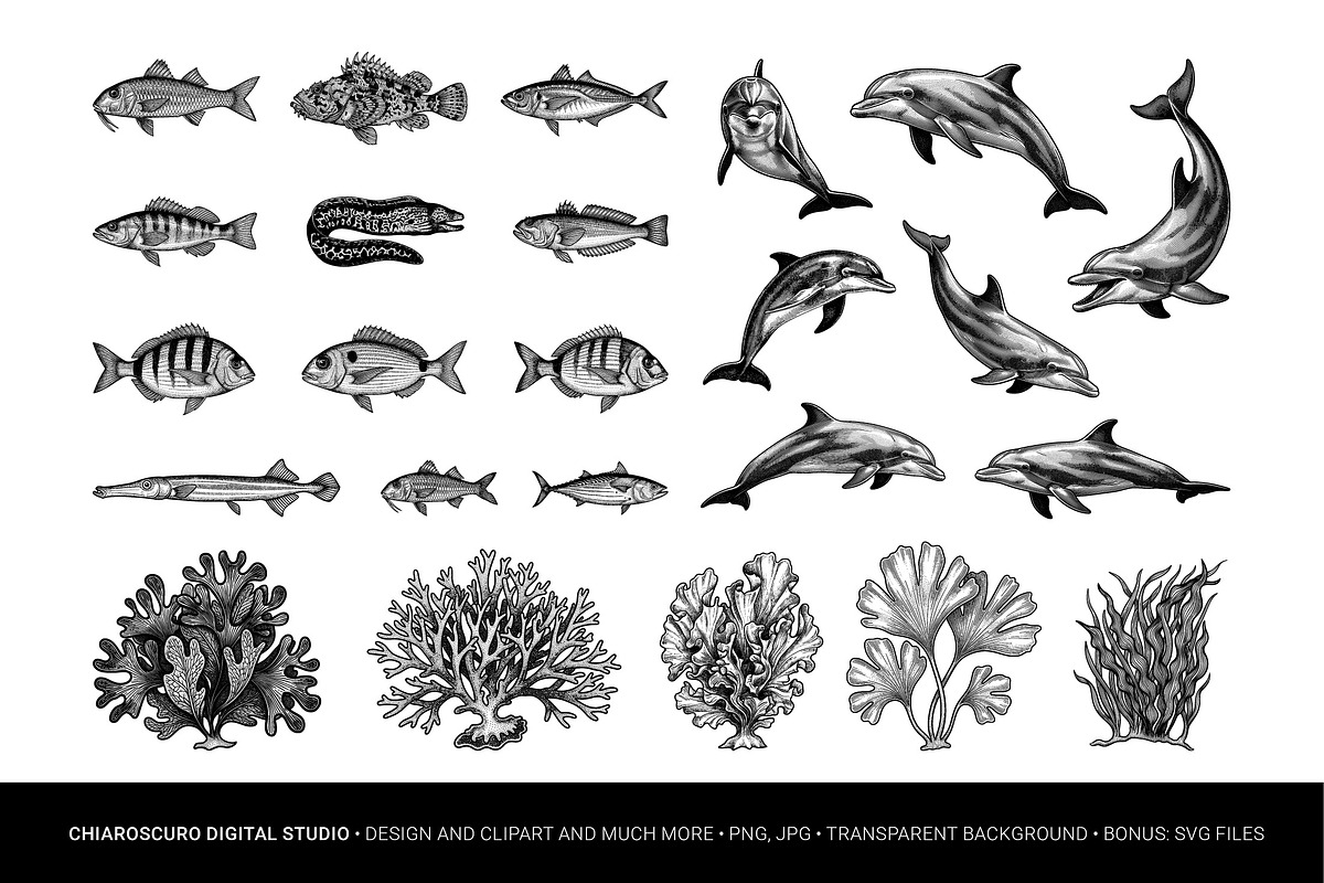 Mediterranean Sea Vector Clipart Set, an Animal Illustration by Pingebat (Photo 3 of 15)