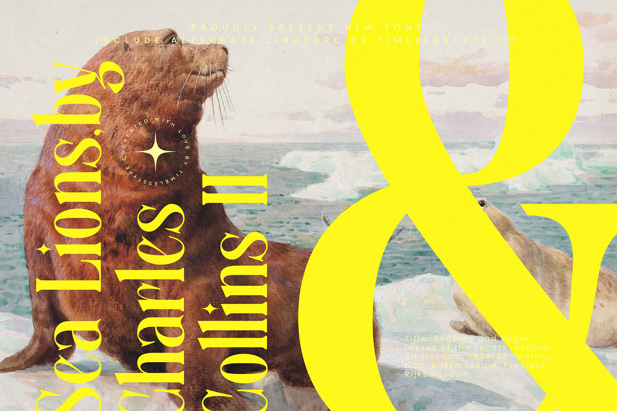 Mythical Romance Modern Display, a Serif Font by timelesstype.co (Photo 4 of 20)