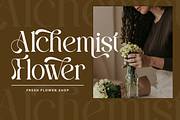 Harmony Dream - Decorative Serif, a Serif Font by Say Studio (Thumbnail 2 of 11)