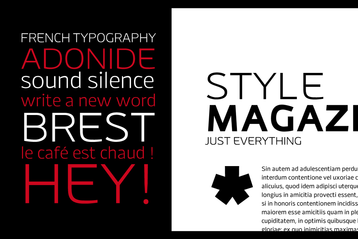 Adonide, a Sans Serif Font by La Boite Graphique (Photo 2 of 5)