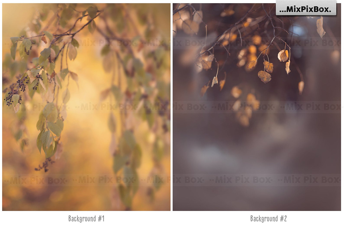 Autumn Portrait Backgrounds, a Background Graphic by MixPixBox (Photo 3 of 8)