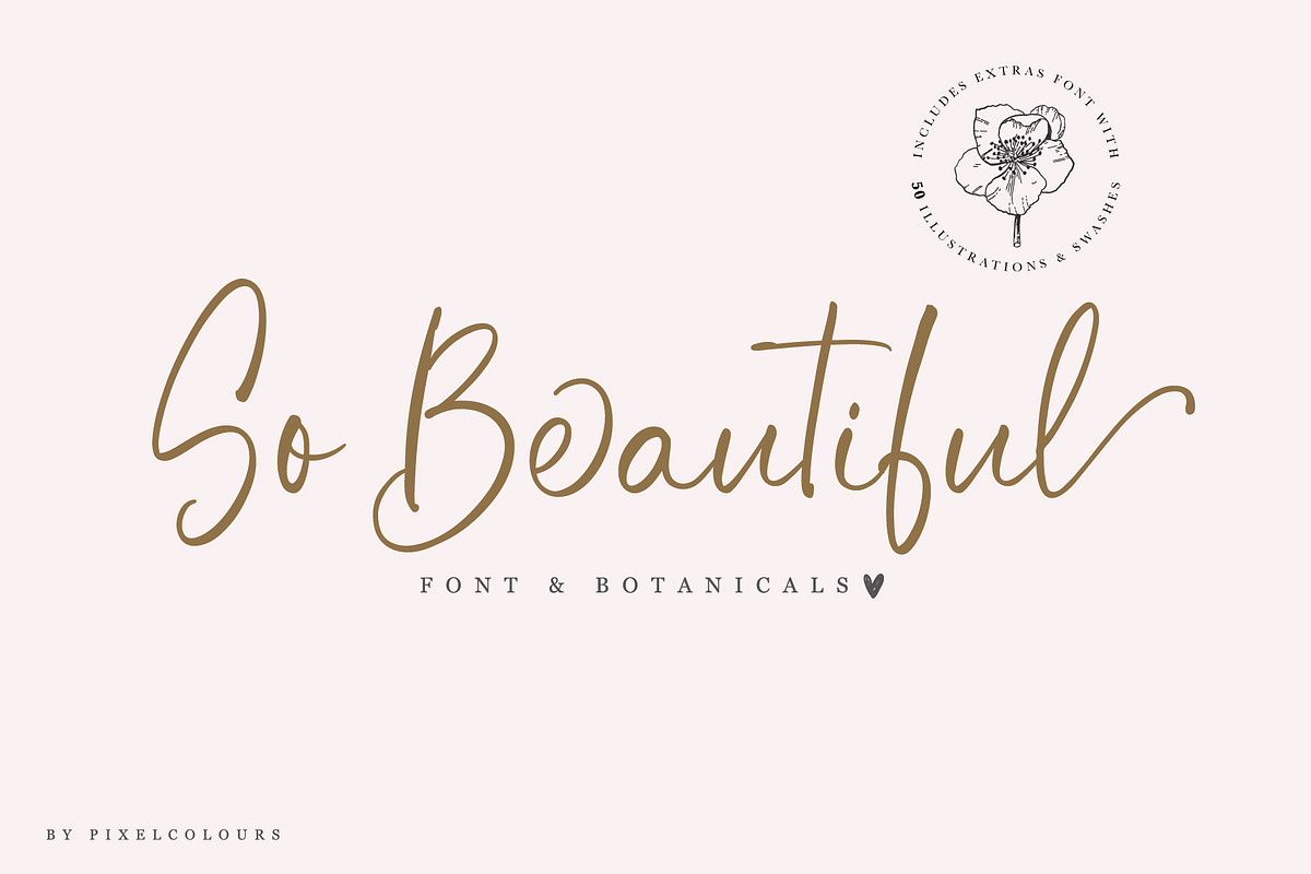 Handwriting Font and Botanicals, a Script Font by pixelcolours (Photo 1 of 10)