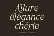 Ardellea, a Serif Font by din-studio.com (Thumbnail 12 of 16)