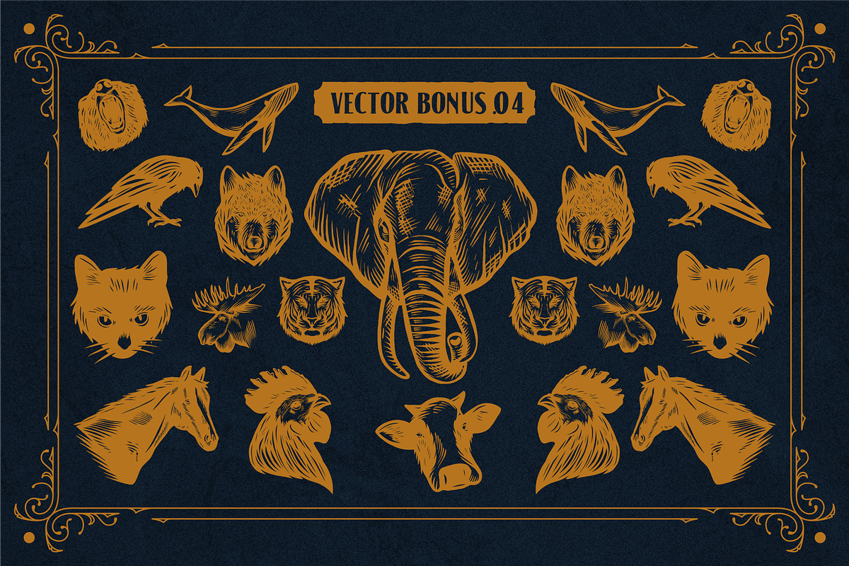 American  Label Vintage, a Sans Serif Font by 24Design Studios (Photo 10 of 10)
