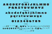 Protanica - Retro Display Font, a Sans Serif Font by Brainwaves.Studio (Thumbnail 3 of 8)
