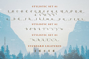 Mifelin, a Serif Font by Nathatype (Thumbnail 9 of 10)