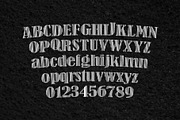 Font Bundle, a Slab Serif Font by Nickhard (Thumbnail 16 of 21)