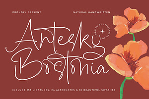 Antesky Bostonia Natural Handwritten