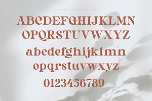 Briggetta - Bold Serif Typeface