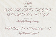 Gresilya Calligraphy Script Font, a Handwritten Font by Heinzel Std (Thumbnail 9 of 10)