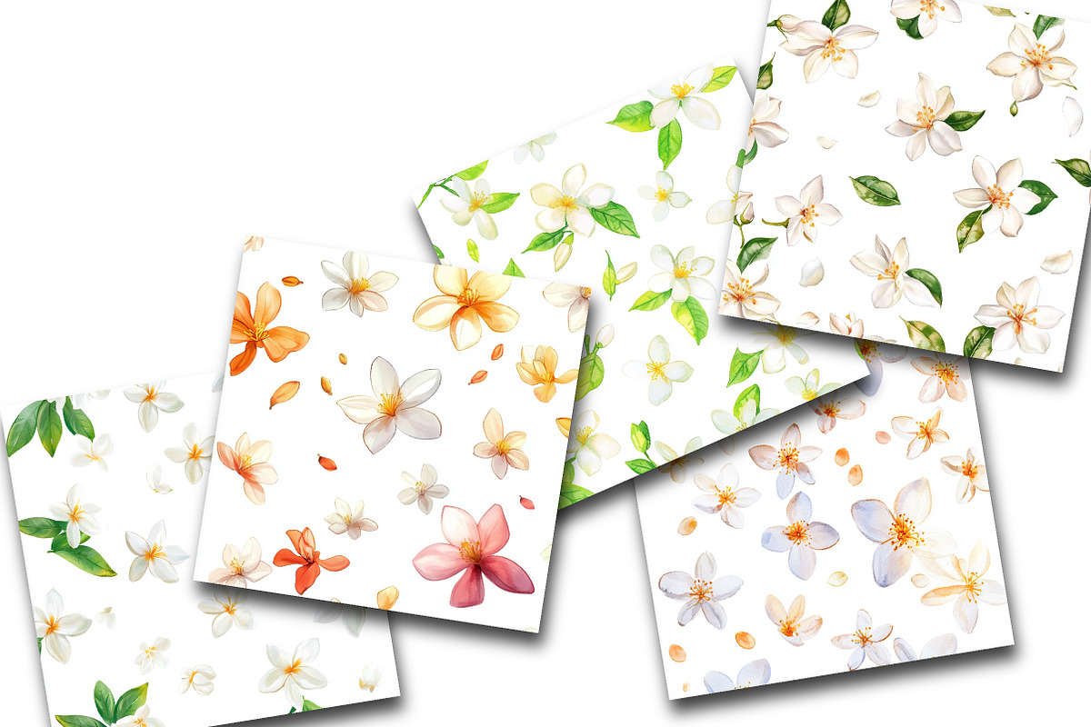 Jasmine Flower Bloom Clipart, an Illustration by Rose Art (Photo 2 of 5)