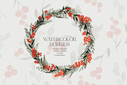 Watercolor berries, a Decorative Illustration by Katia Serdiuk (Thumbnail 1 of 5)