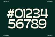 TAN - VILLA VERDE, a Sans Serif Font by TanType (Thumbnail 13 of 13)