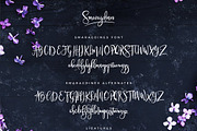 Typographer's Dream Box + 200 Logos, a Script Font by Mats-Peter Forss (Thumbnail 85 of 130)