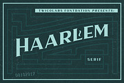 Haarlem Serif, a Serif Font by Twicolabs Fontdation (Thumbnail 2 of 8)