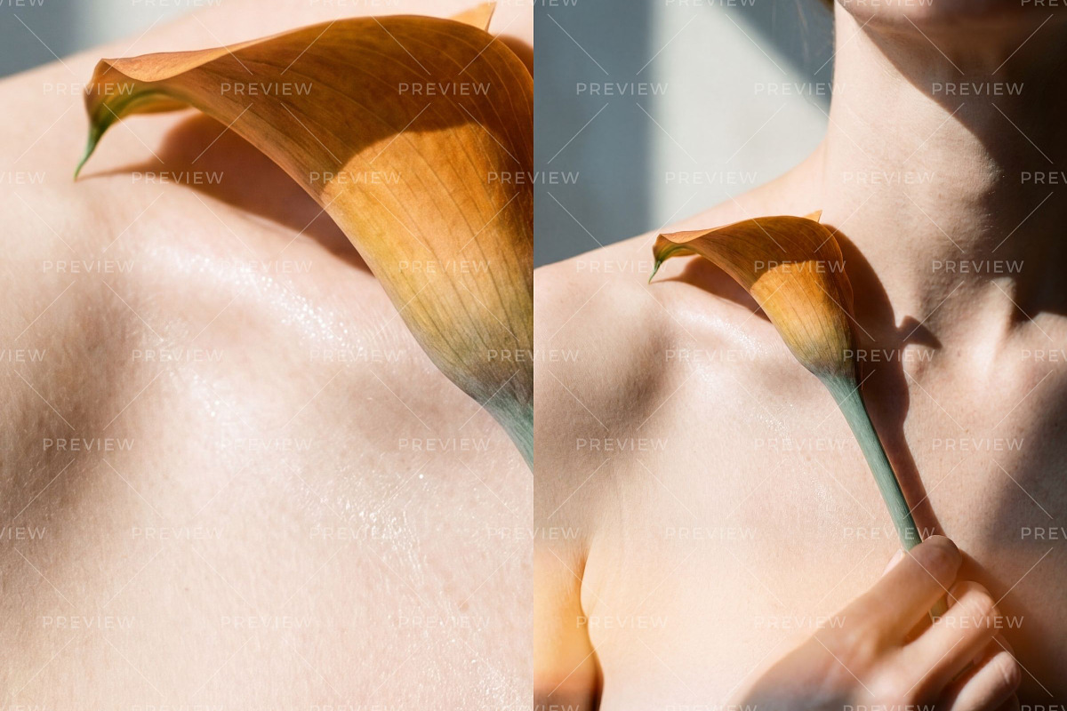 Heat-Bloom Stock Photos & Videos, a Holiday Photo by Iconogenic (Photo 8 of 8)
