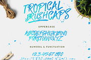 SALE !!! The Tropical - 5 Fonts, a Font by Dirtyline Studio (Thumbnail 18 of 19)