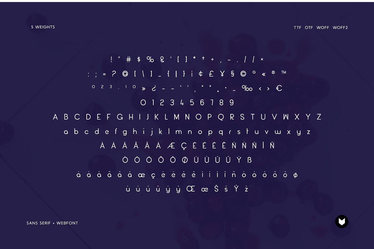 Cranberry Display Typeface, a Font by Foxtype (Photo 5 of 8)