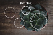 Kinlie, a Script Font by OnTheSpotStudio (Thumbnail 4 of 4)