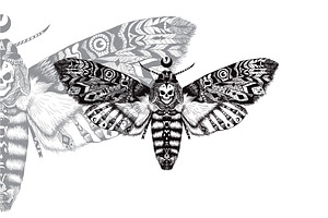 Textured Moth In Ethnic Style