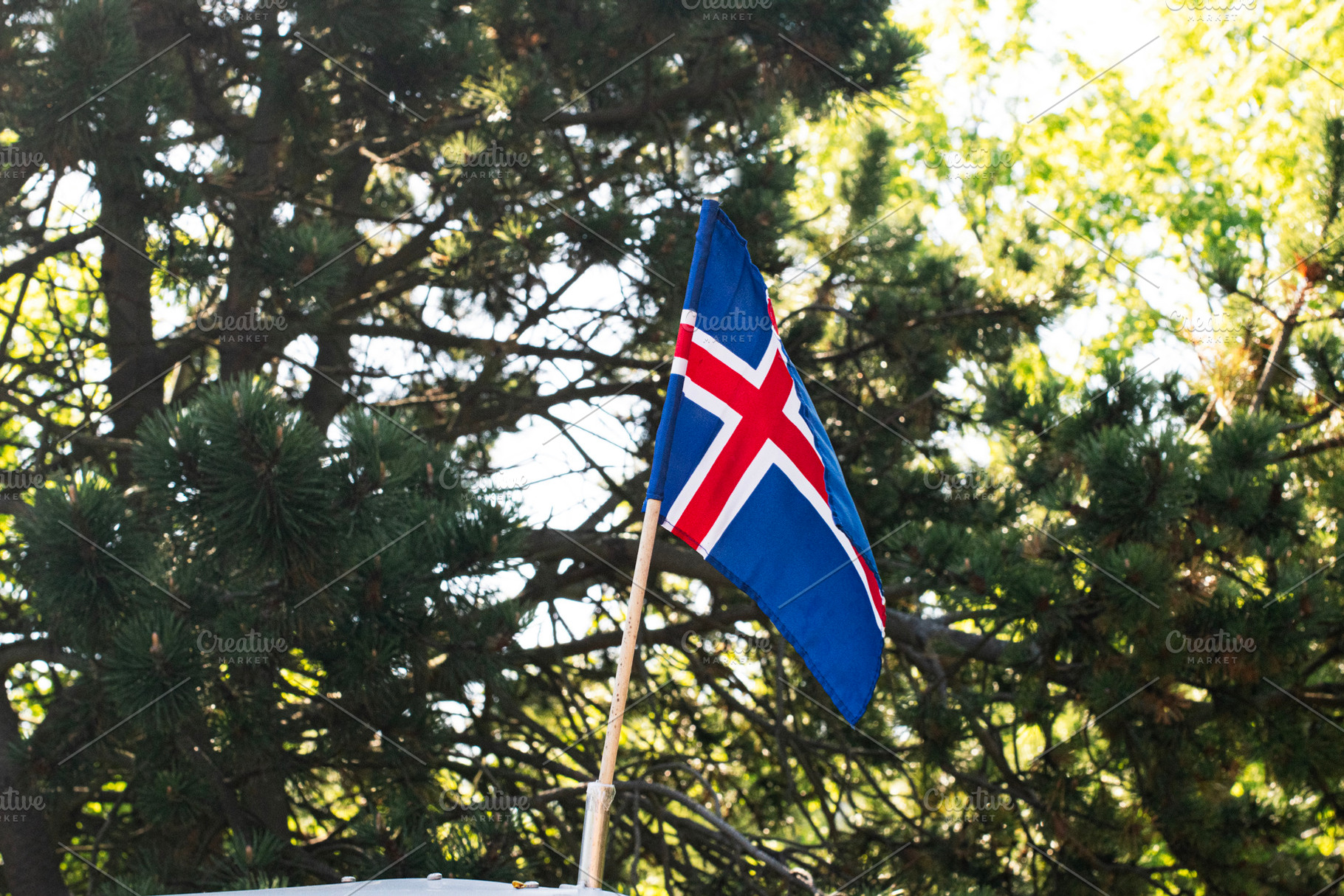 The Flag of Iceland Raised Vertically Against a Background of Scenic Greenery, a Photo by AS photostudio