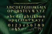 Charon Smith – A Modern Classic, a Serif Font by Qweera Studio (Thumbnail 12 of 12)