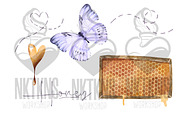 Watercolor Honey Clipart. Bee., a Food Illustration by NKTKNS (Thumbnail 5 of 8)