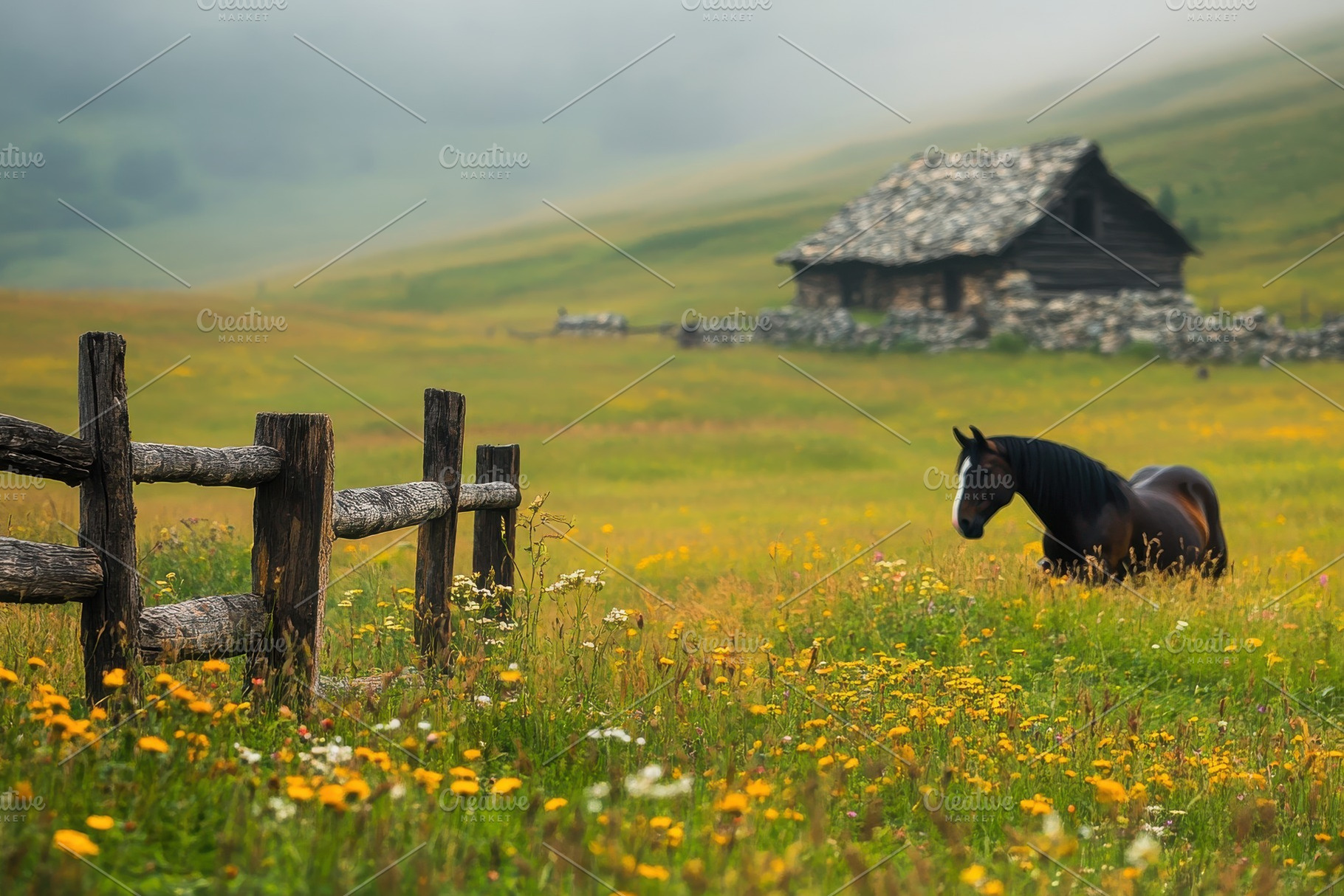 Two Horses by a Rock Cabin in Foggy, an Animal Photo by Virgo Studio