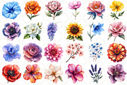 Watercolor Flower Collection Clipart, an Illustration by Black Bird Studio (Thumbnail 2 of 5)