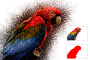 Line Artwork Photoshop action preview 5