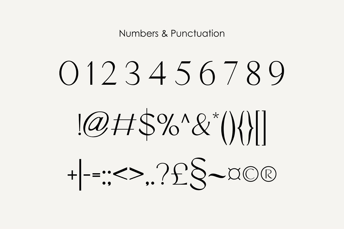 ERIAL | Simple Luxury Serif Font, a Sans Serif Font by WhymoreArt (Photo 10 of 11)