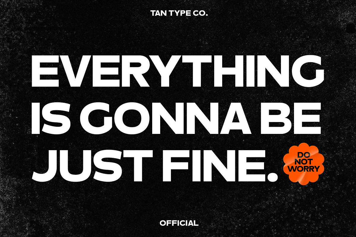 TAN - OFFICIAL, a Sans Serif Font by TanType (Photo 7 of 11)