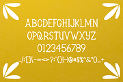 Karty Monokity Font, a Serif Font by albert_kalingga (Thumbnail 4 of 5)