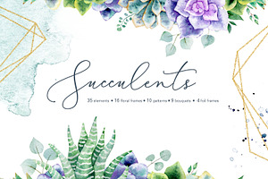 Succulent watercolor clipart