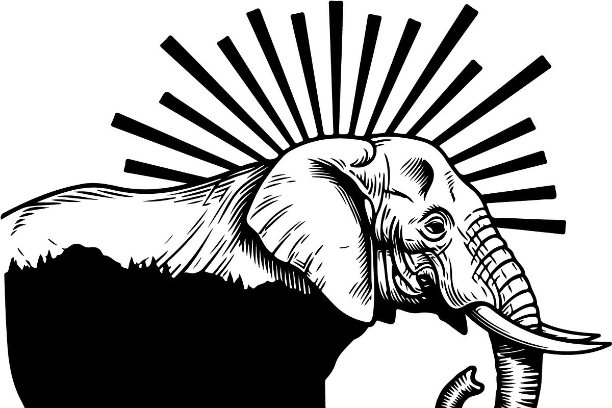 Wild Elephant Silhouette Set, an Illustration by jahid234 (Photo 9 of 21)