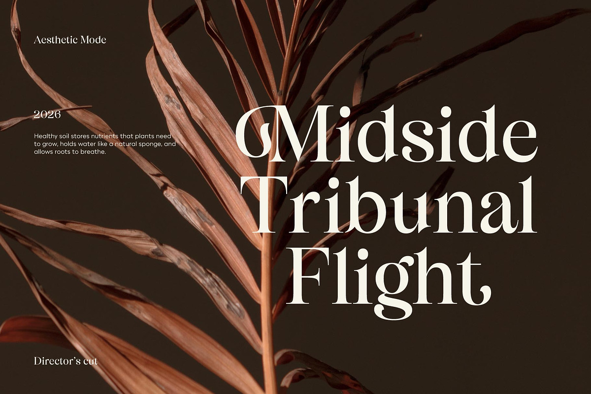 Bisquine; Display Serif Font, a Serif Font by Eko Bimantara (Photo 2 of 8)