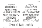 Ferdinos, a Serif Font by Dora Typefoundry (Thumbnail 5 of 14)