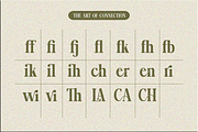 Lignis, a Serif Font by Zafiratype (Thumbnail 14 of 15)