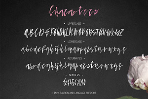 Fallen Angel - Calligraphic Font