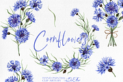Cornflower illustration, an Illustration by DioFlow (Thumbnail 1 of 5)