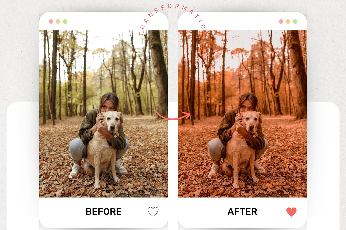 Autumn Lightroom Presets & Luts, a Preset Add-On by presetsroom (Photo 7 of 11)