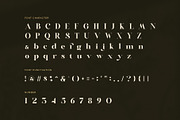 Rafina Elegant Serif Font, a Serif Font by Graphicxell (Thumbnail 7 of 8)