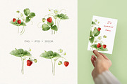 Strawberry watercolor illustrations, a Food Illustration by Fedulova Art (Thumbnail 3 of 17)