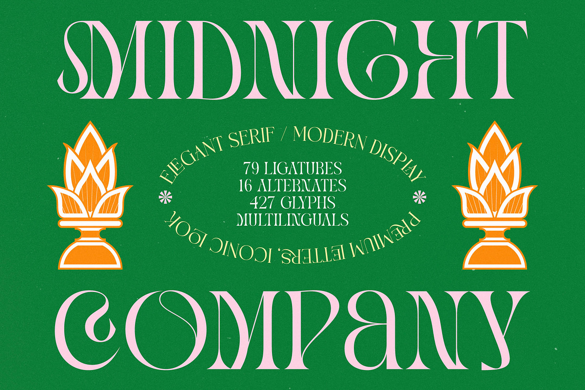 Midnight Modern Display Serif, a Serif Font by timelesstype.co (Photo 1 of 20)